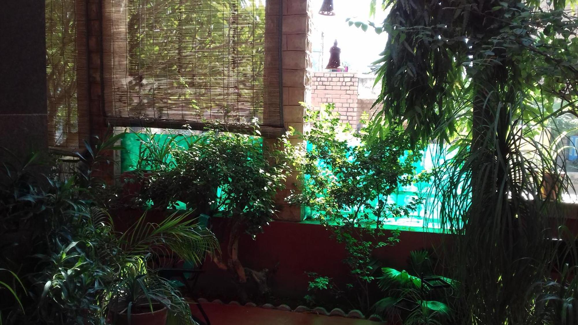 "Nain'S Kunj" A Traveller'S Home Джодхпур Экстерьер фото
